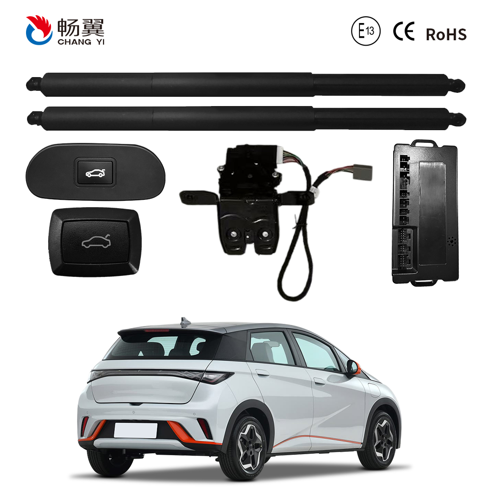 ET108D-BYD-Dolphin-2021.jpg